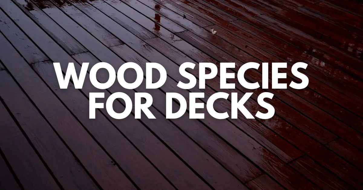Wood Species For Decks