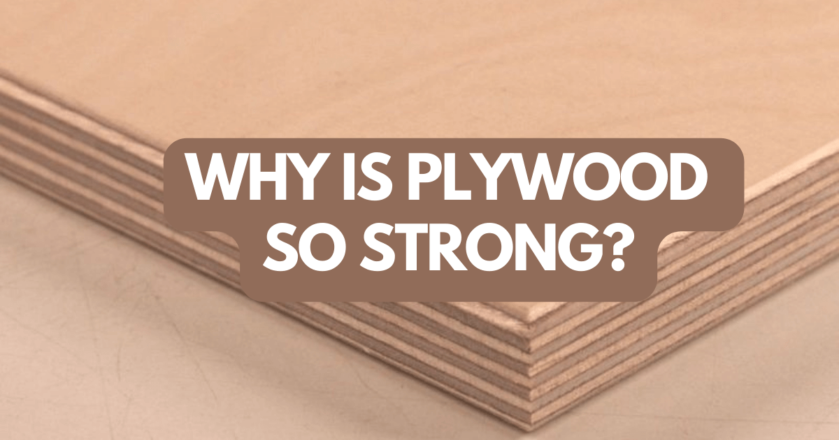 Why is plywood so strong?