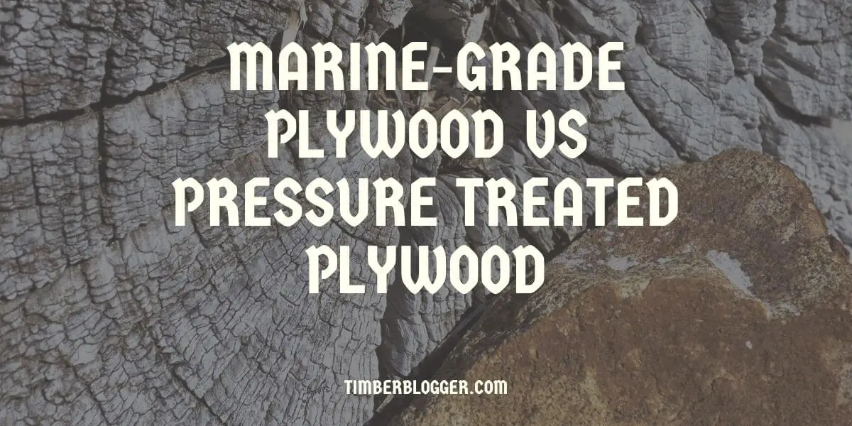 Marine-Grade Plywood vs Pressure Treated Plywood