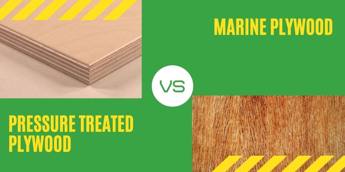 MarineGrade Plywood vs PressureTreated Plywood