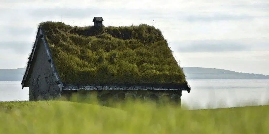 Green Roofing