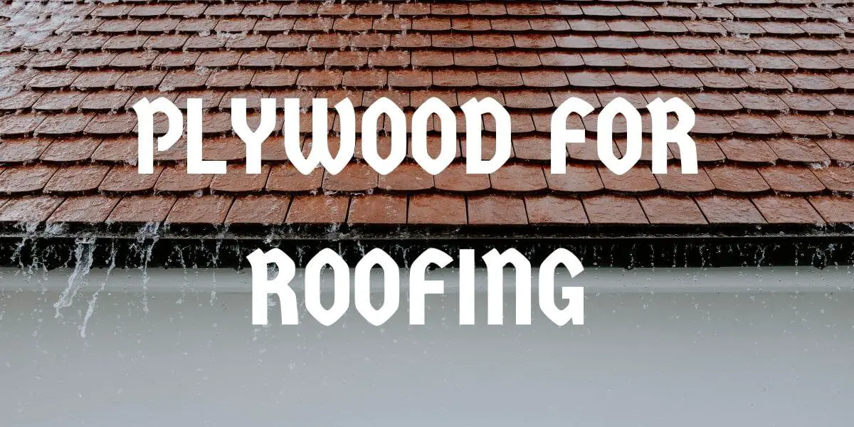 Plywood For Roofing