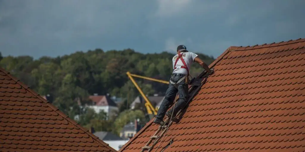 Plywood Used for Roofing