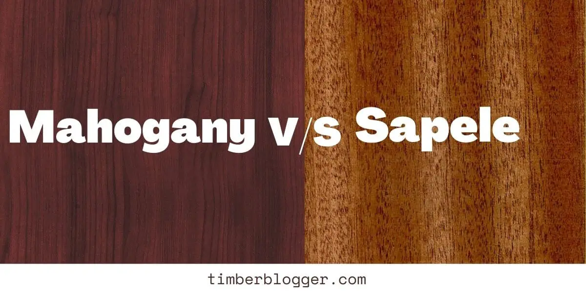 Mahogany vs Sapele