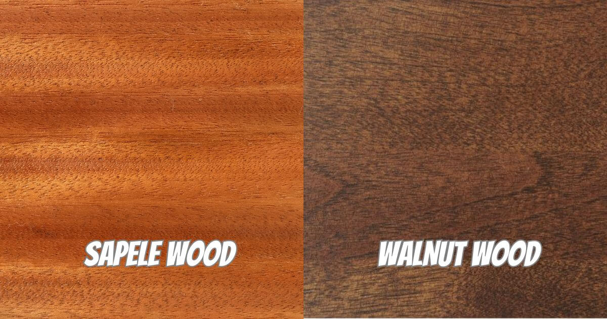 Sapele vs Walnut Wood
