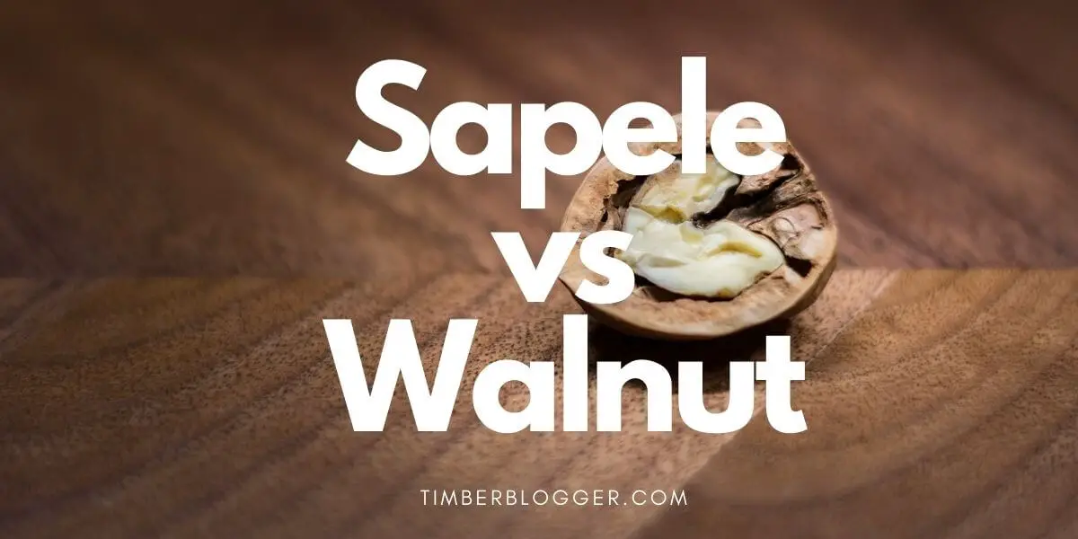 Sapele vs Walnut