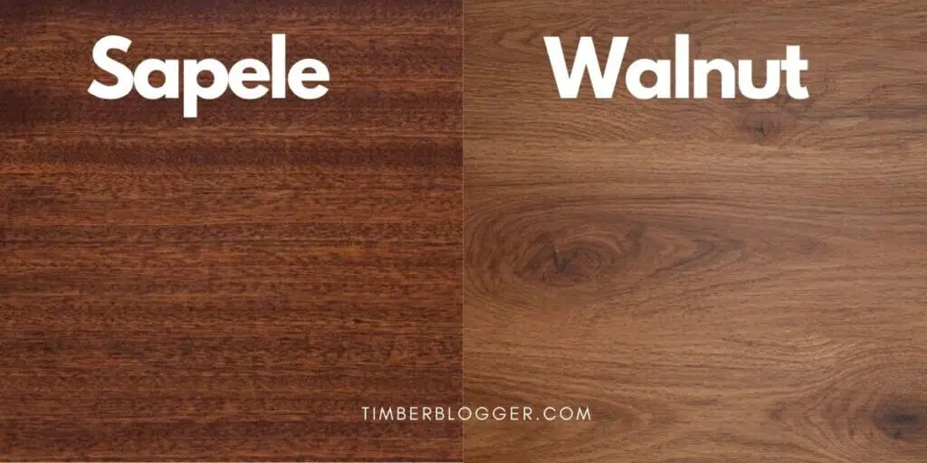 Sapele vs walnut wood texture