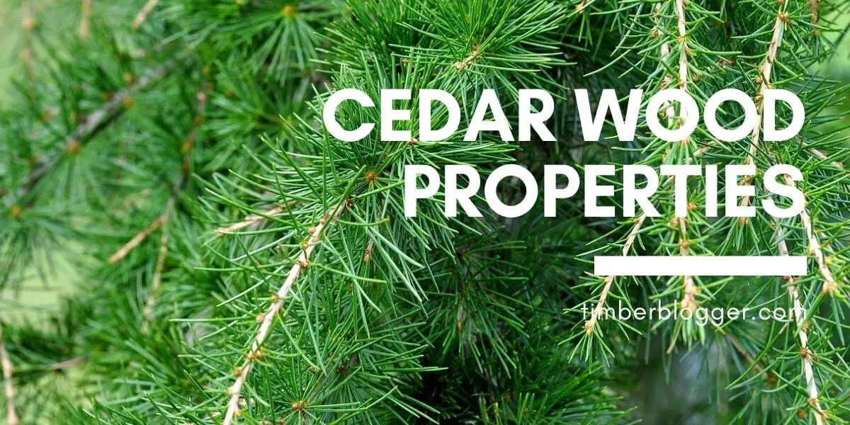 Cedar Wood Properties