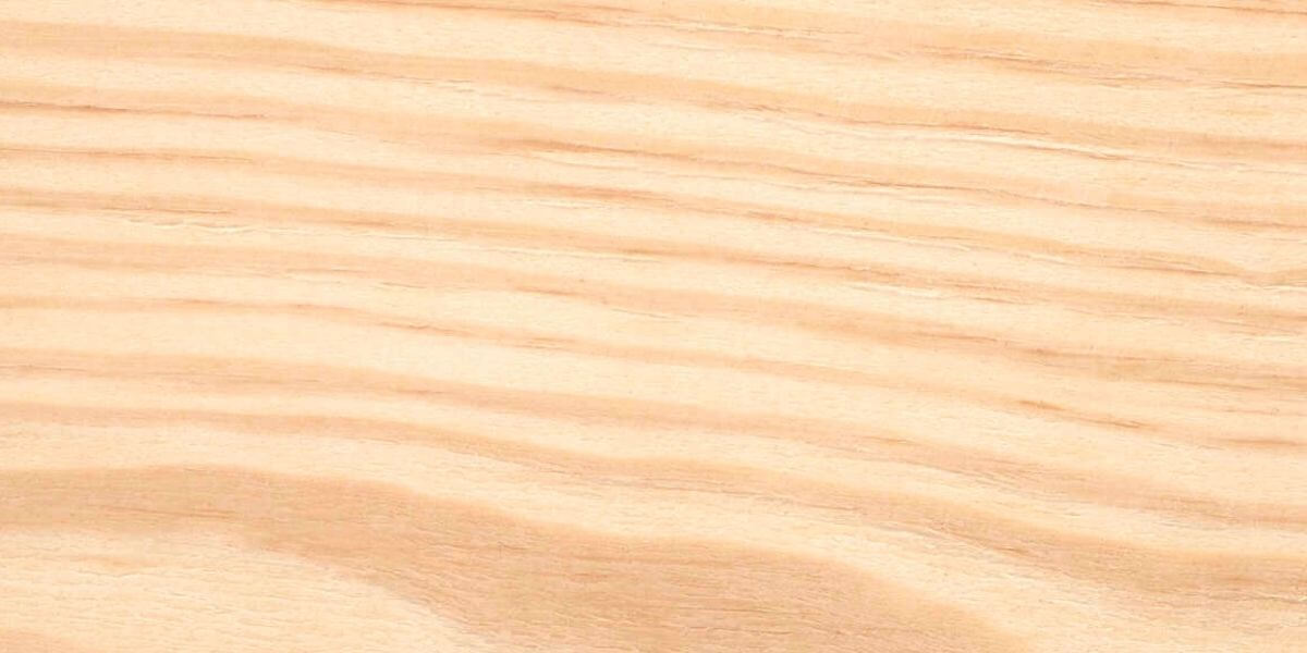 Poplar Wood vs Pine Wood Which is Better for Your Applications?
