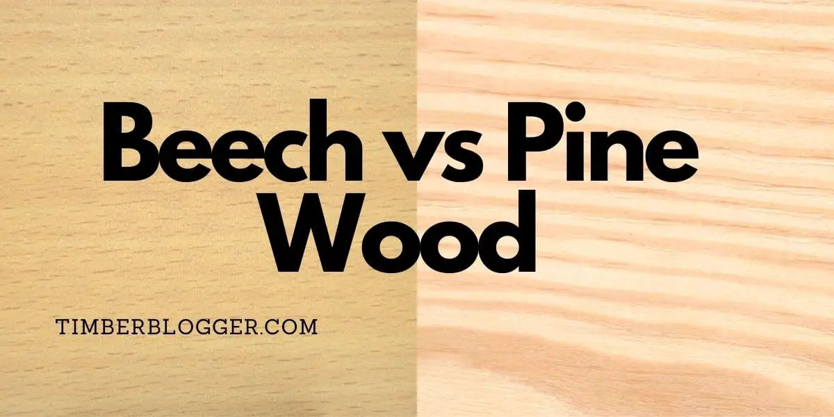 Beech vs Pine Wood