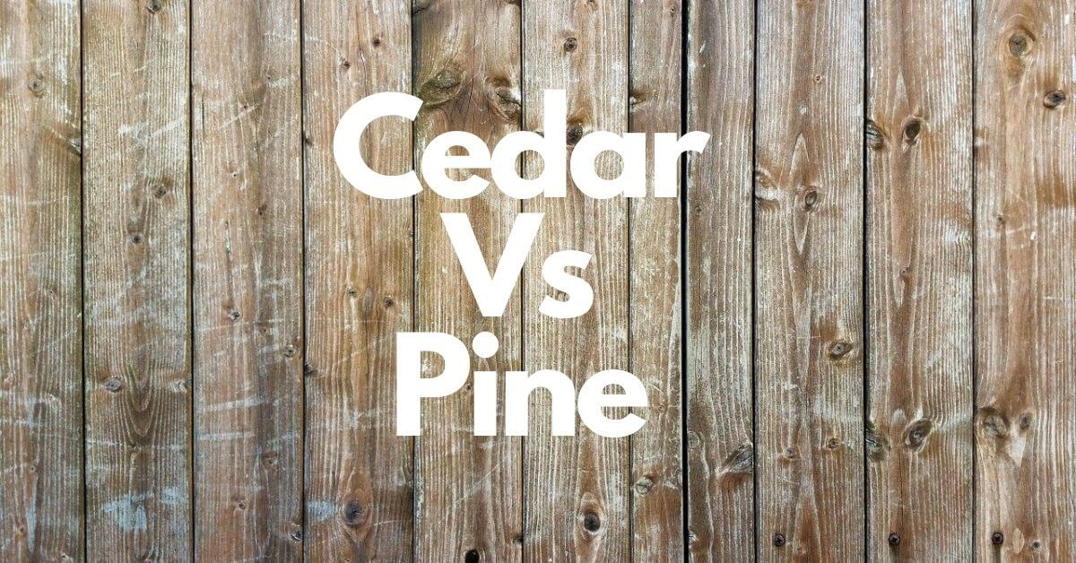 Cedar Vs Pine Difference Between Wood Tree And Fence