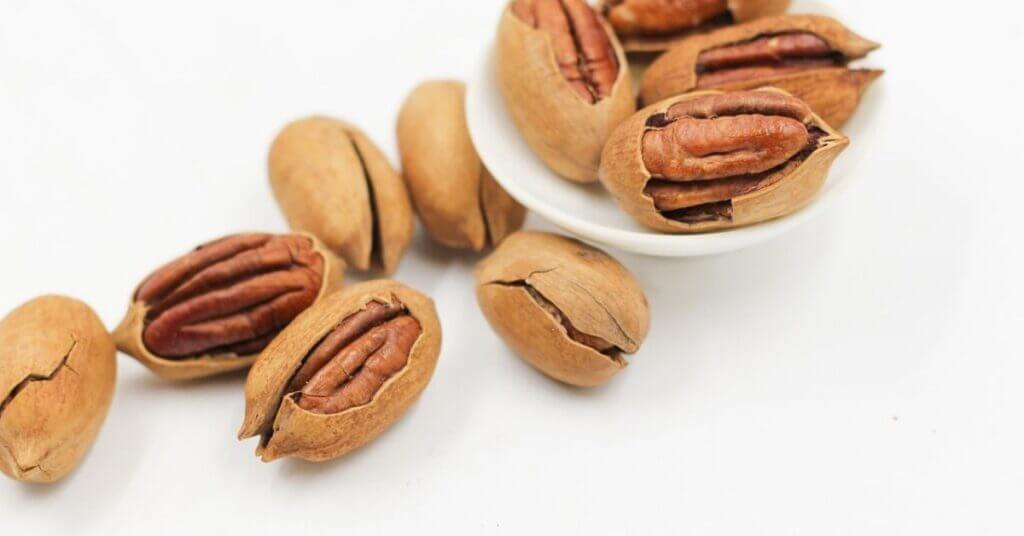 Pecan Fruits