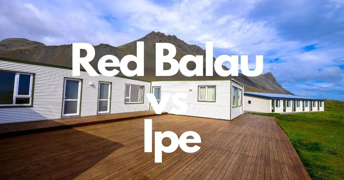 Red Balau vs Ipe