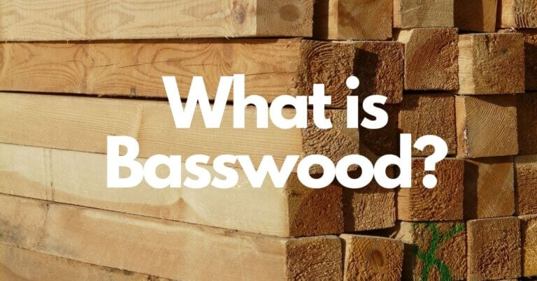 What is Basswood? | Everything You Need to Know About Basswood