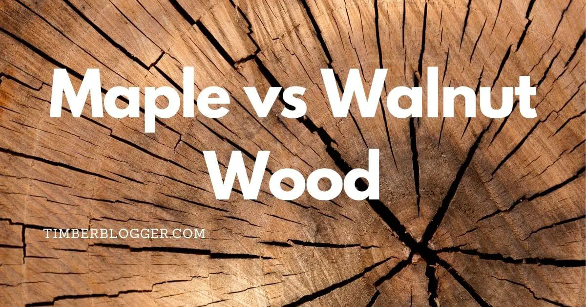 Maple vs Walnut Wood