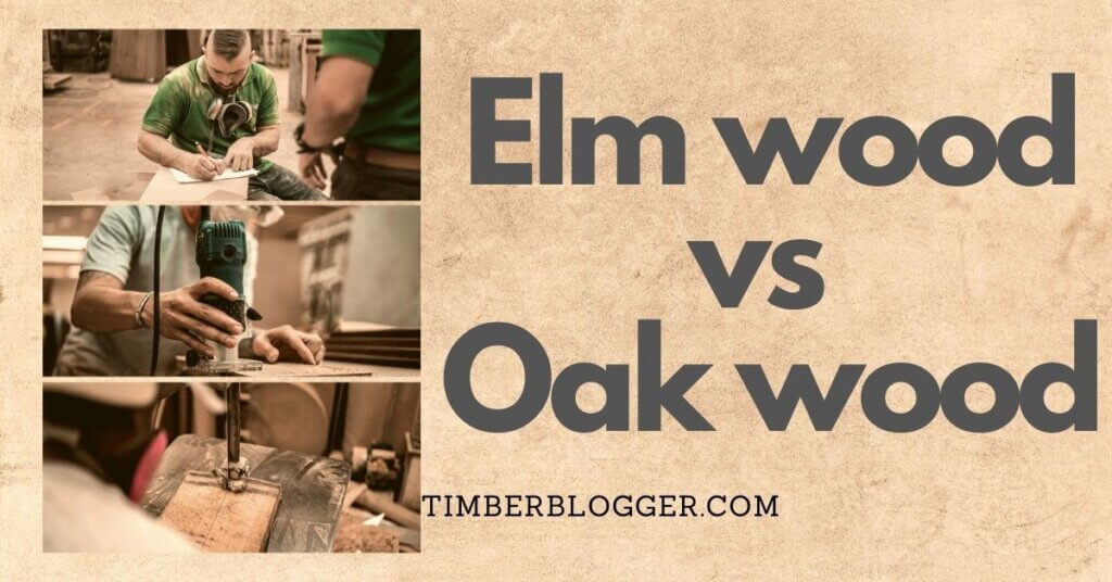 Elm vs Oak Wood Which Wood is Best For You? Timber Blogger