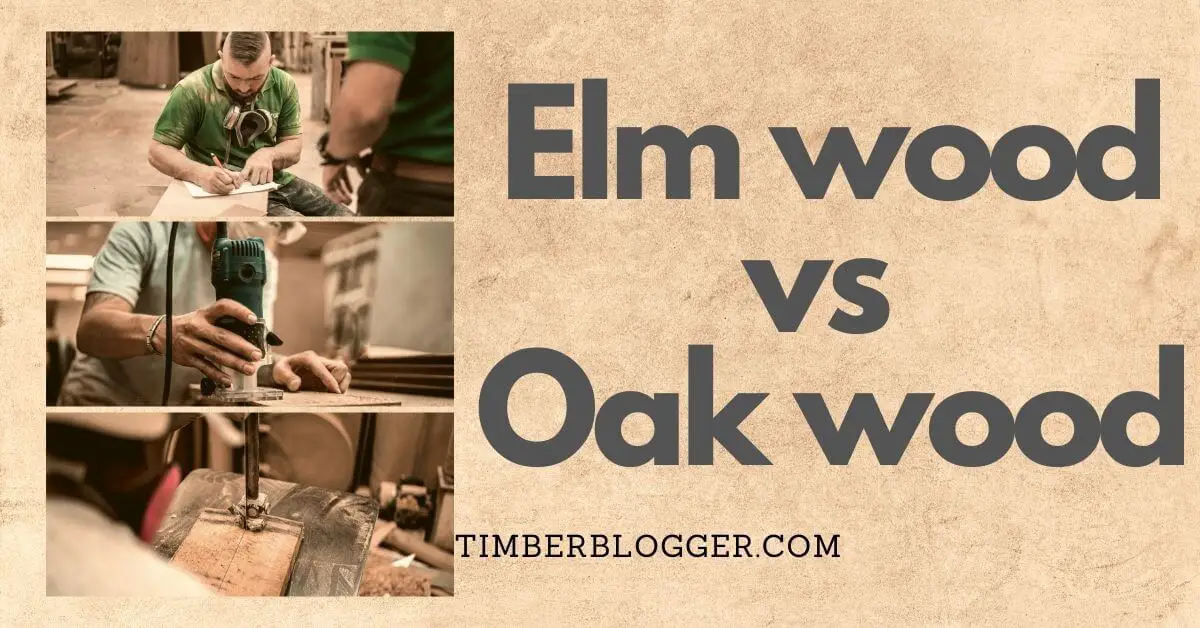 Elm vs Oak