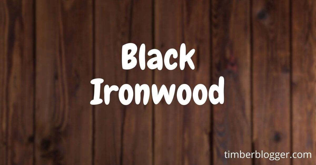 Black Ironwood | Black Ironwood Tree Facts