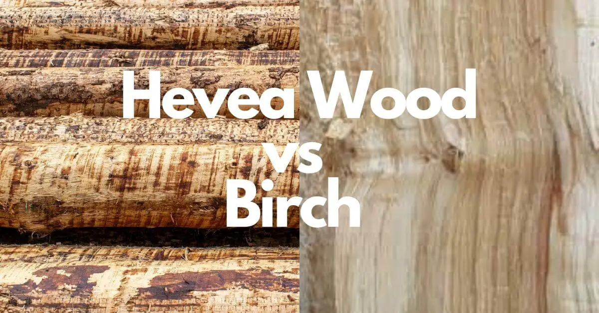 Hevea Wood vs Birch