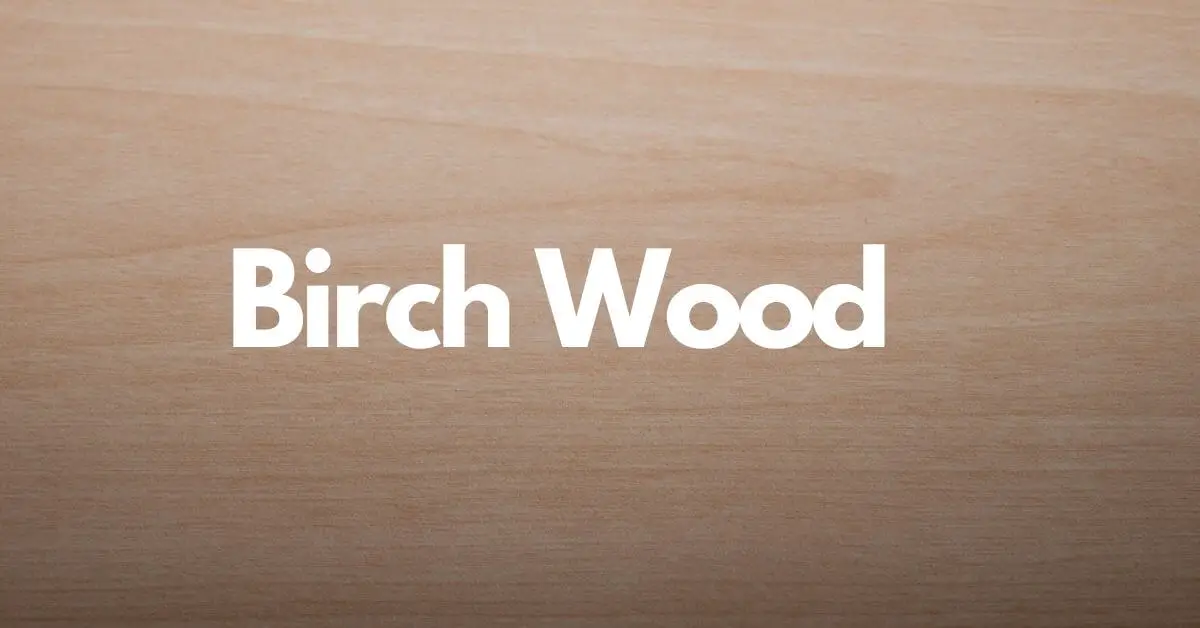 Birch Wood Properties