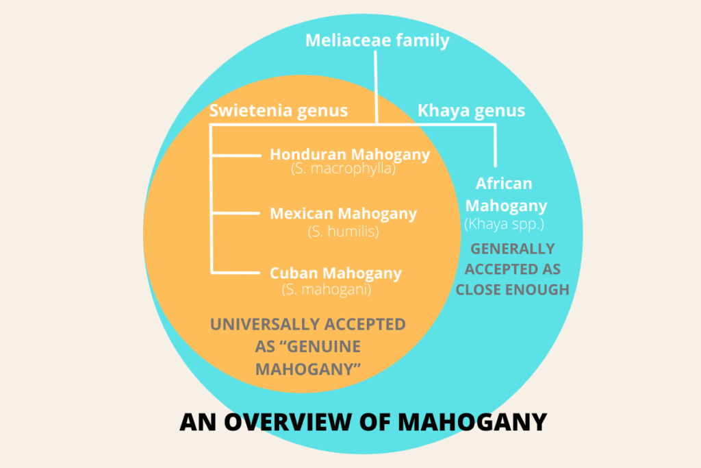 AN OVERVIEW OF MAHOGANY