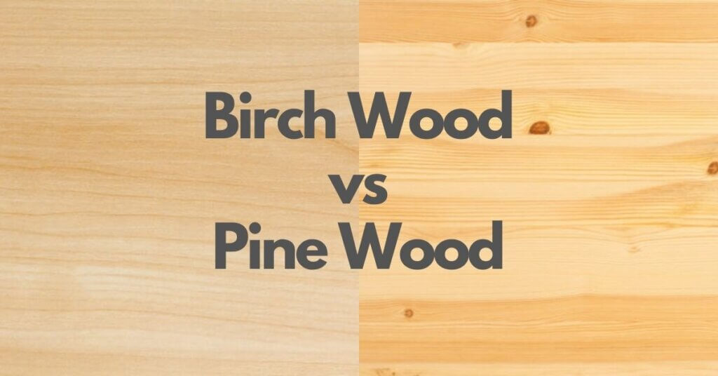 Birch vs Pine Which Wood Is Preferable For Your Projects? Timber Blogger