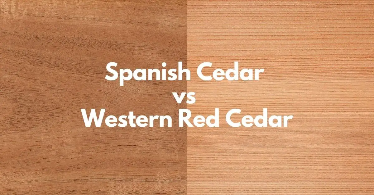 Spanish Cedar vs Western Red Cedar