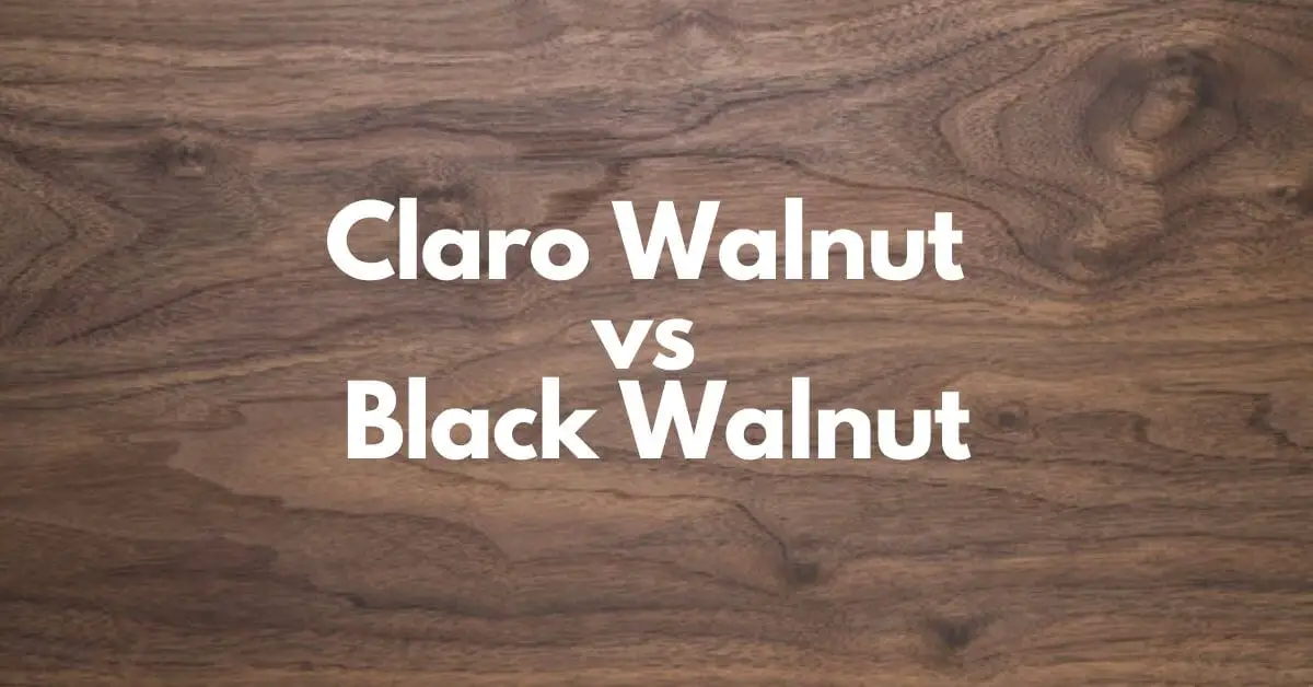 Claro Walnut vs Black Walnut