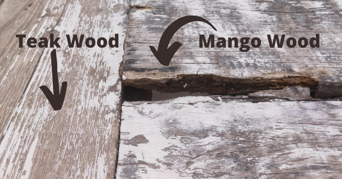 Mango wood Advantages and Disadvantages Timber Blogger