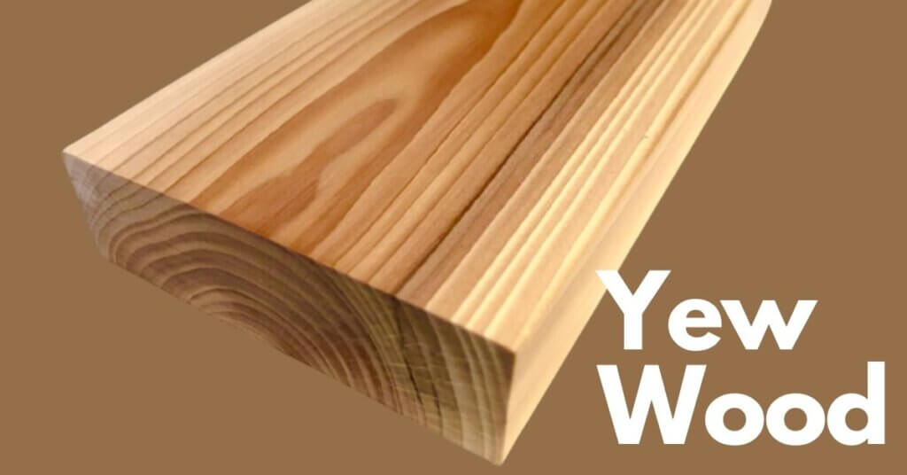 Yew Wood Types of Yew, Uses, Advantages, and Disadvantages