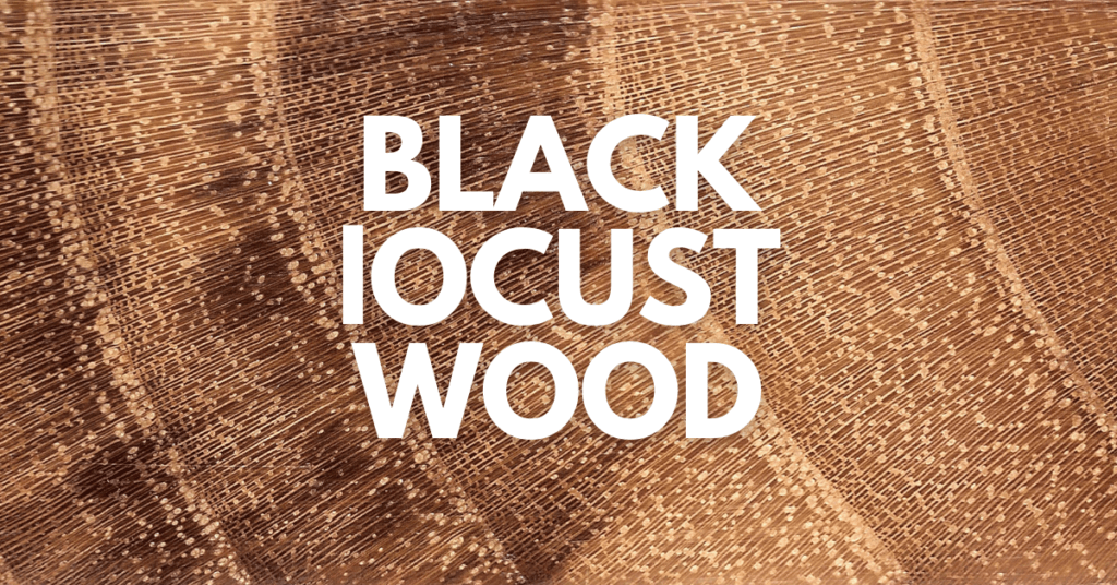 Black Locust Wood Timber Blogger