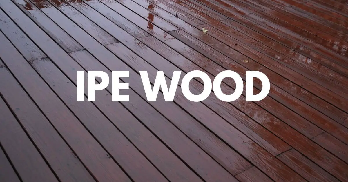 Ipe Wood Uses and Benefits of Ipe Wood