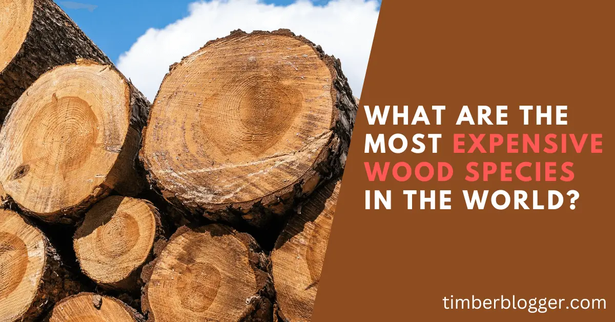 Most Expensive Wood Species in the World