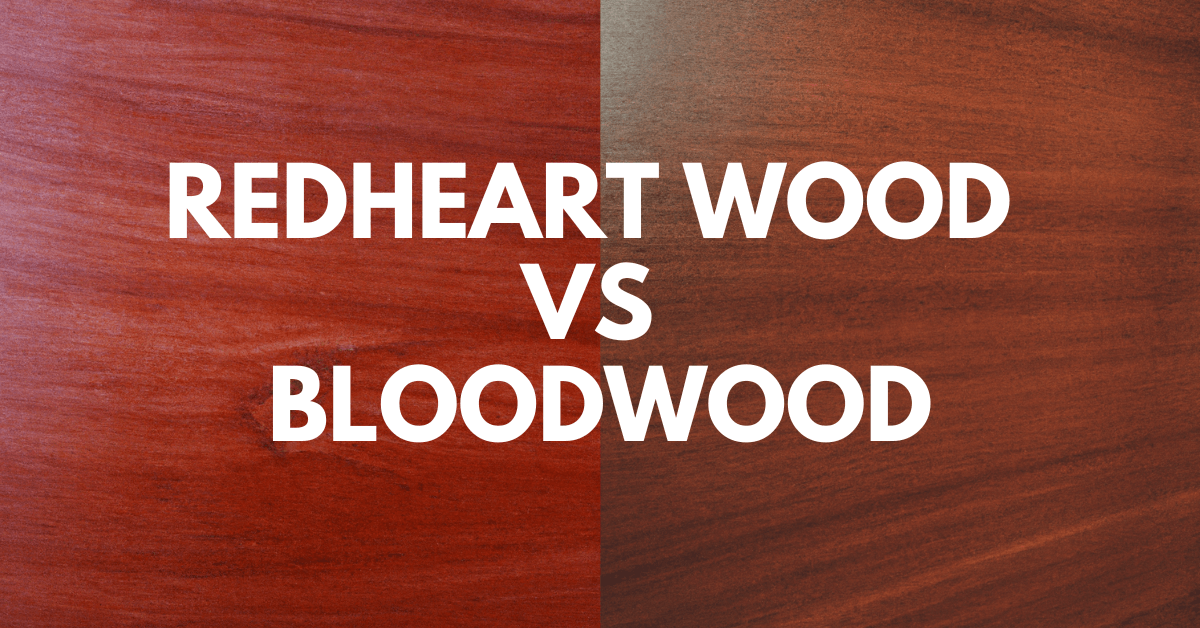 Redheart wood vs Bloodwood Comparison: What’s The Difference?