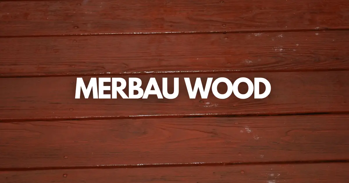 What is Merbau Wood?