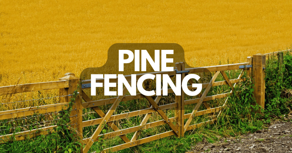 Pine Fencing Pine Fence Pros and Cons Timber Blogger