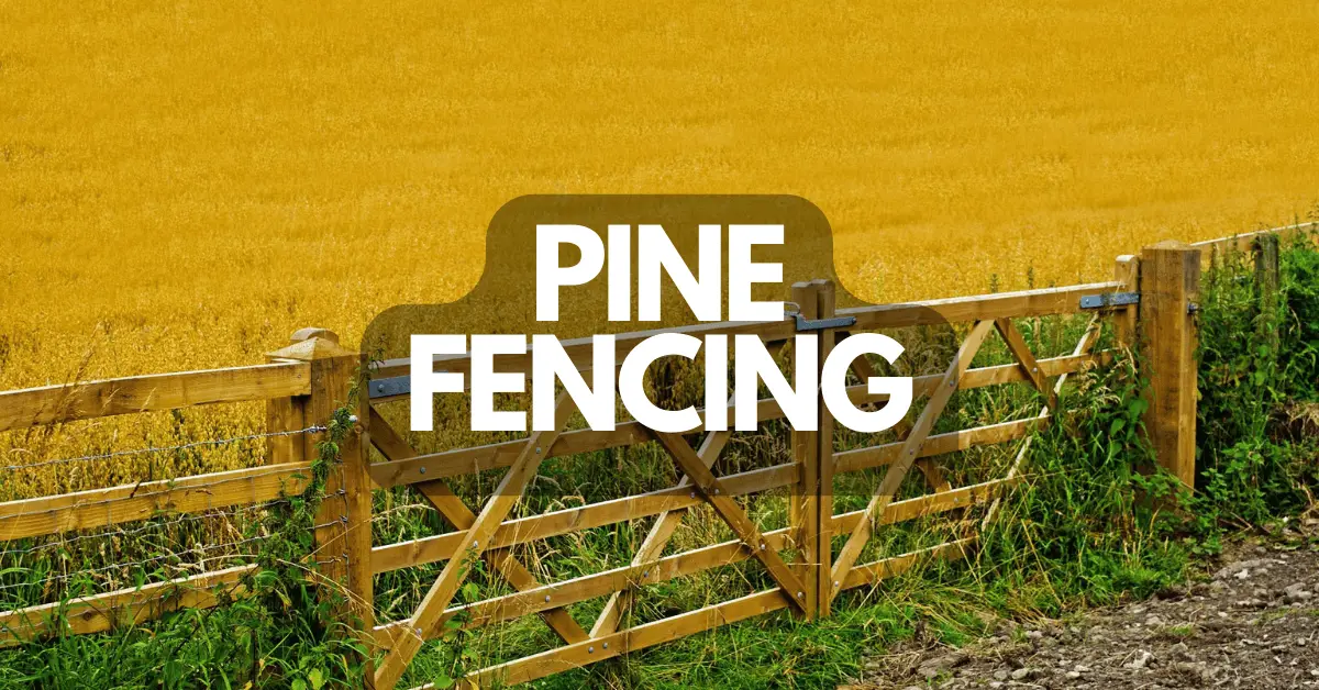 Pine Fencing