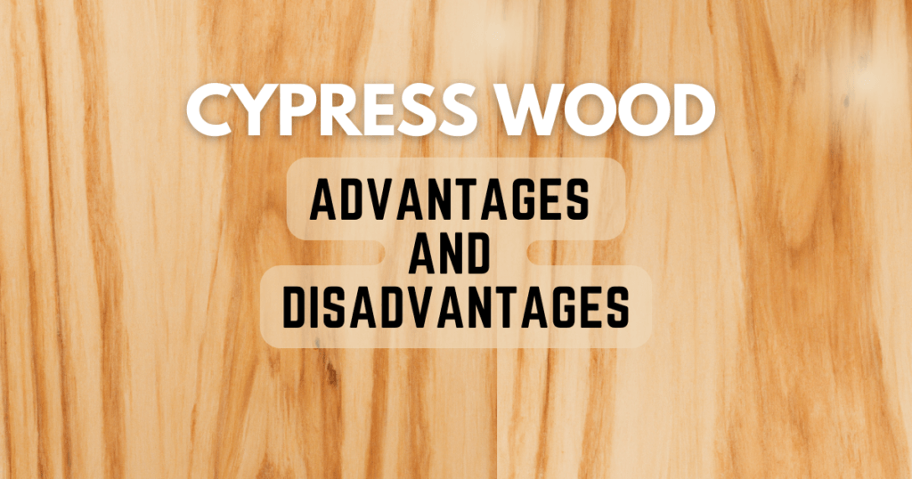 Cypress Wood Advantages and Disadvantages Timber Blogger