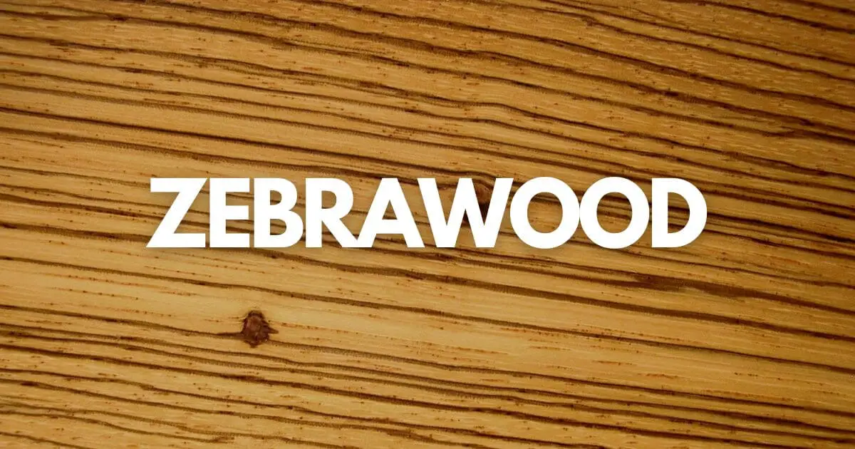 Zebrawood