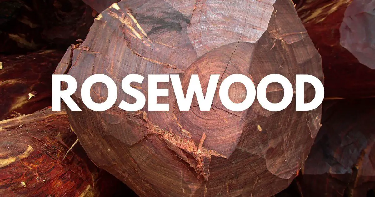 Rosewood Properties | Uses, Pros and Cons