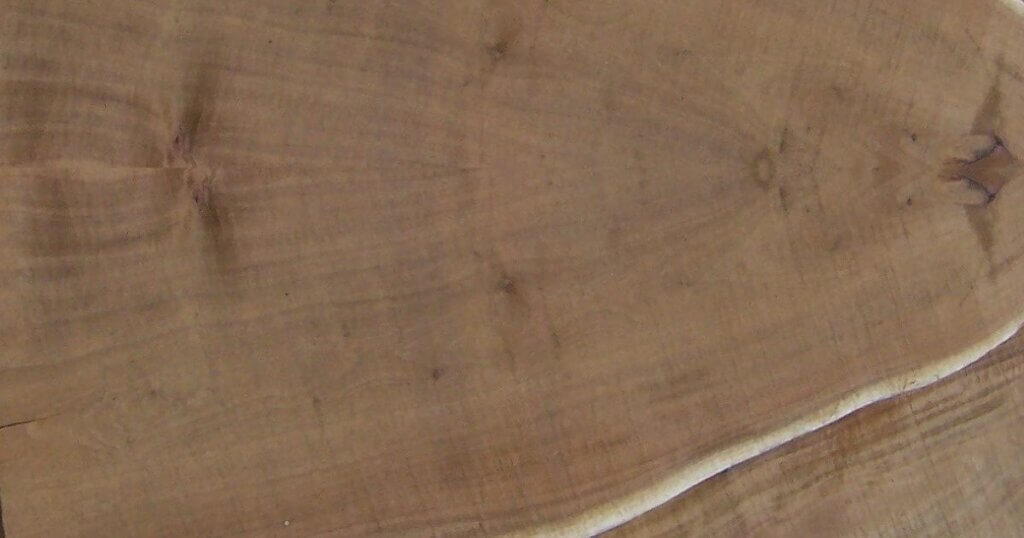 Acacia Wood Pros and Cons Timber Blogger