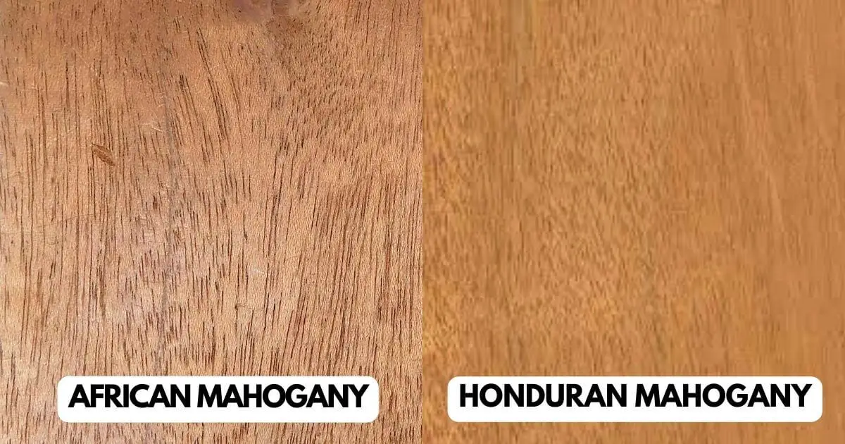 African Mahogany vs Honduran Mahogany