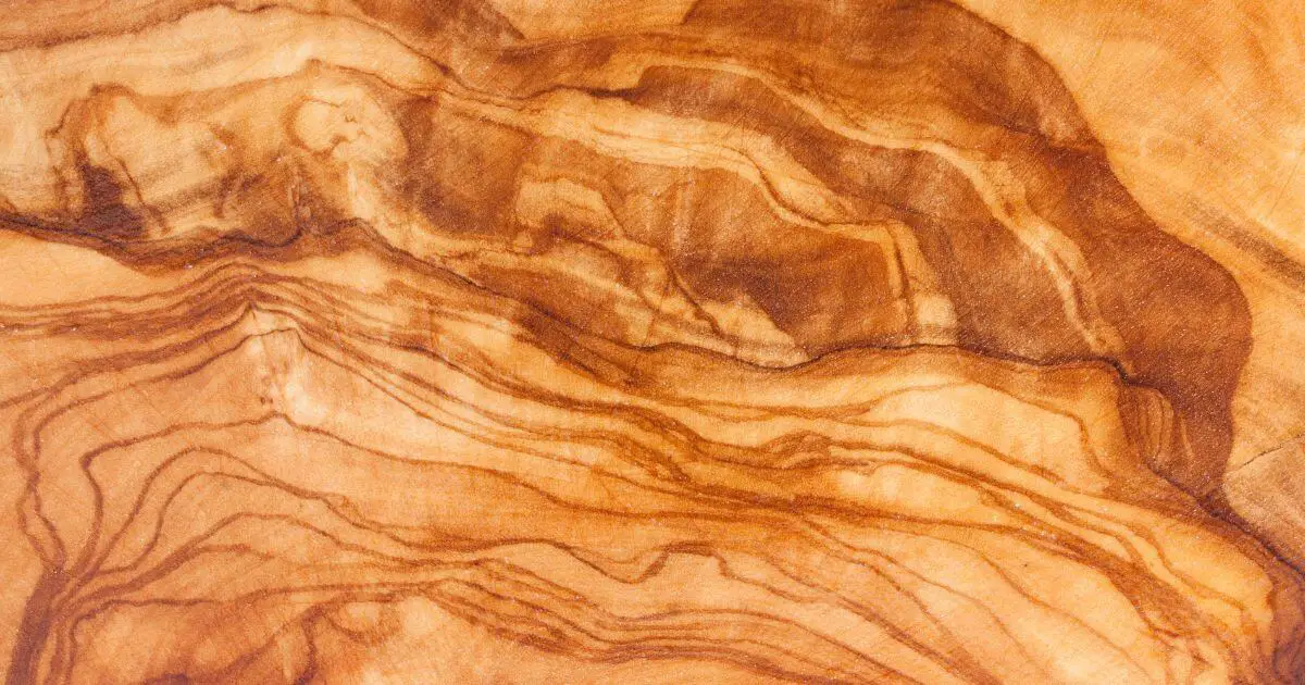 Olive wood- Characteristics, Uses, Pros and Cons