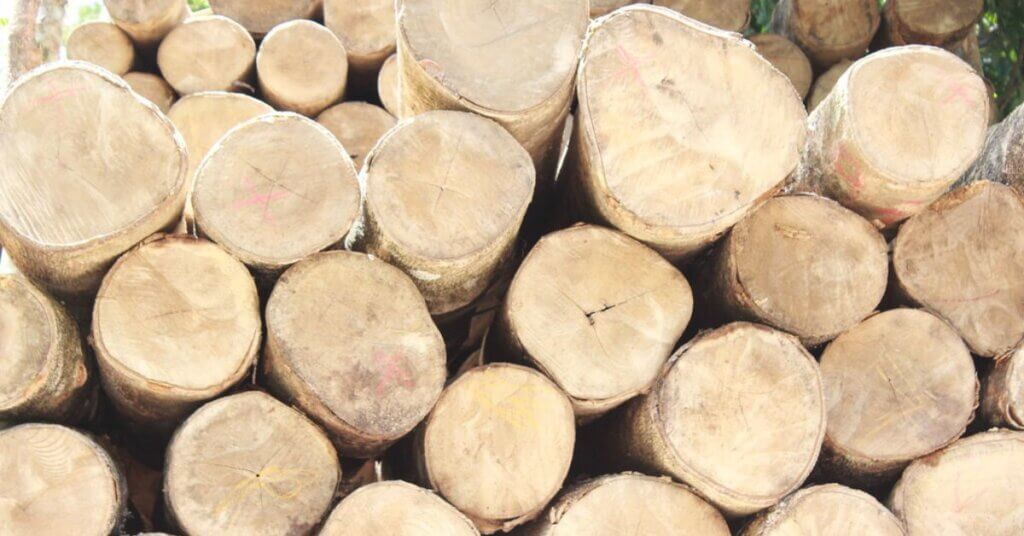 Gmelina Wood Uses, Properties, Advantages, and Disadvantages