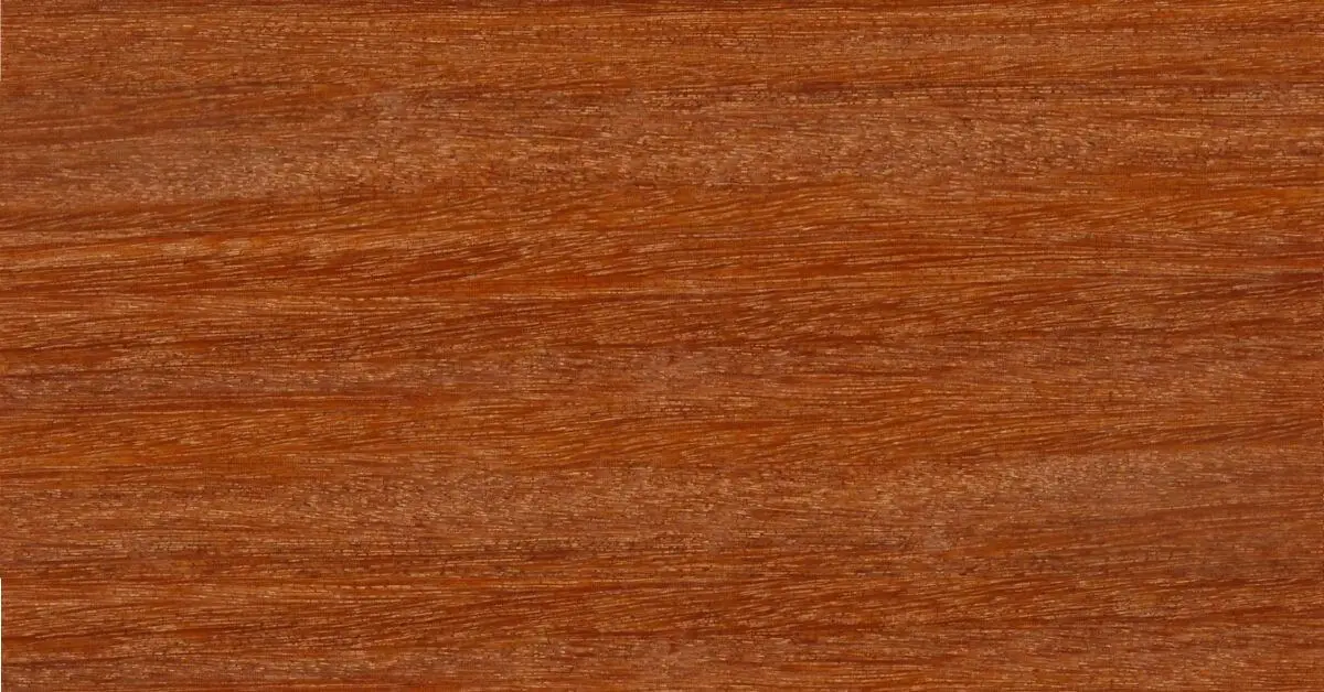 Cumaru Wood - Characteristics, Uses, Pros and Cons