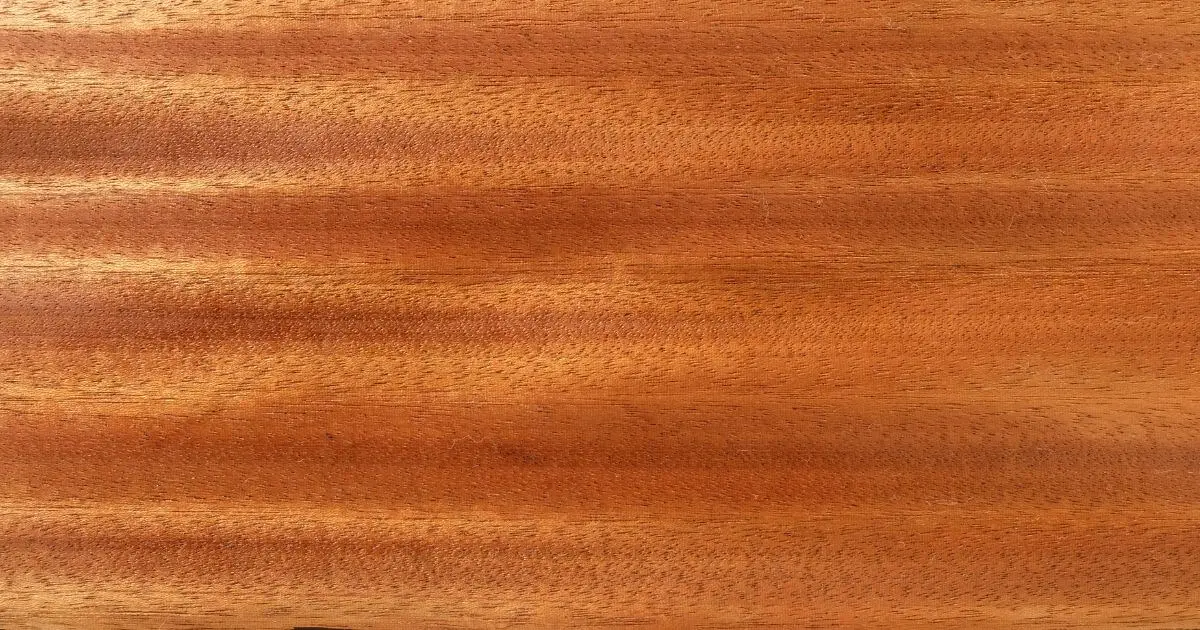 Sapele Engineered Wood