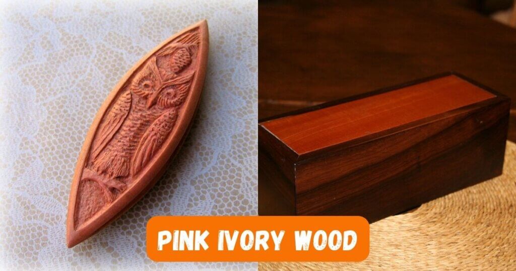 Pink Ivory Wood Characteristics, Uses, Pros and Cons Timber Blogger