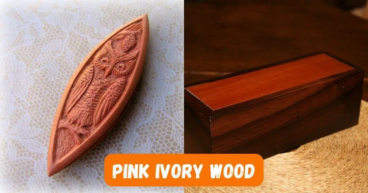 Pink Ivory Wood