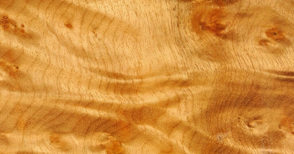 Myrtlewood Characteristics, Uses, Pros and Cons Timber Blogger