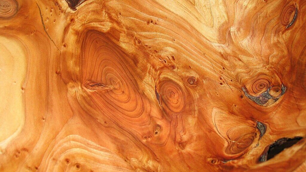 Burl Wood: Definition, Characteristics, and Popular Uses - Timber Blogger